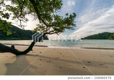 Beautiful Mai ngam beach in Koh Surin national park, the famous free driving spot in Pang Nga, Thailand. 108060578