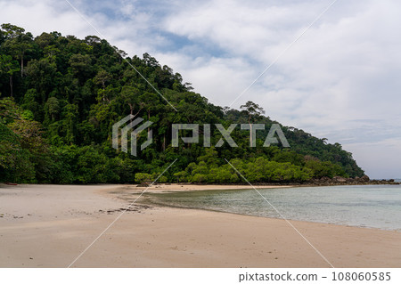 Beautiful tropical island, Koh Surin national park, the famous free driving spot in Pang Nga, Thailand. 108060585