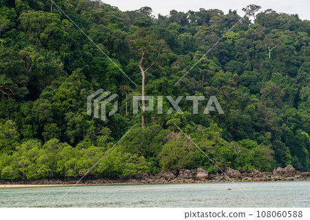 Beautiful tropical island, Koh Surin national park, the famous free driving spot in Pang Nga, Thailand. 108060588