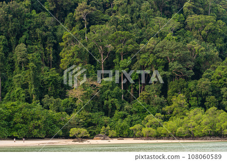 Beautiful tropical island, Koh Surin national park, the famous free driving spot in Pang Nga, Thailand. 108060589
