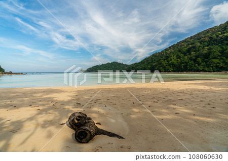 Tranquil Mai Ngam beach in beautiful day, Surin island national park, Phang Nga, Thailand, 108060630