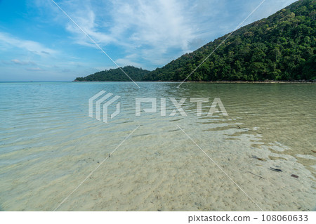 Shallow water coral reef in Mai Ngam beach, Surin island national park, Phang Nga, Thailand,. Shallow water coral reef in Mai Ngam beach, Surin island national park, Phang Nga, Thailand,. 108060633