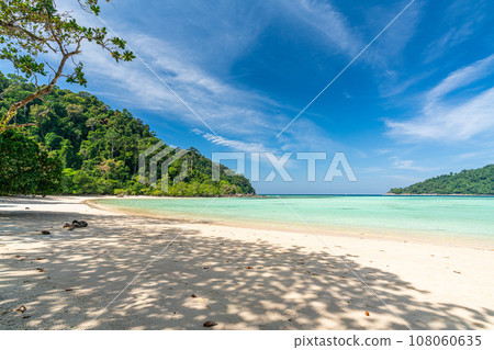 Tranquil Mai Ngam beach in beautiful day, Surin island national park, Phang Nga, Thailand, 108060635