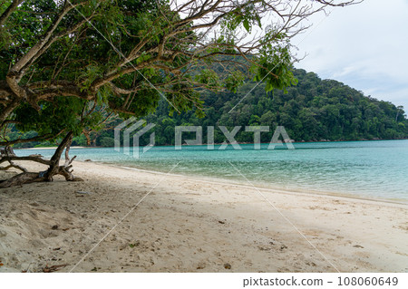 Beautiful Mai ngam bay in Koh Surin national park, the famous free driving spot in Pang Nga, Thailand. Beautiful Mai ngam bay in Koh Surin national park, the famous free driving spot in Pang Nga, Thailand. 108060649