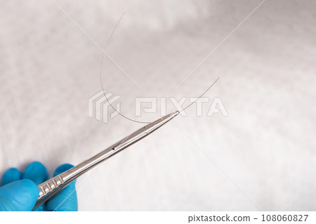 A podologist in blue gloves holds a titanium thread with tweezers. Close up. White background. The concept of podology and chiropody 108060827