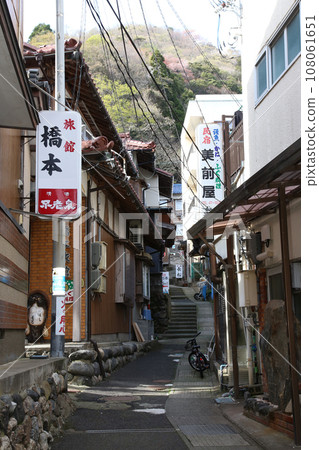 若狹常神漁港 若狹常神 福井縣常神蘇鐵類 若狹町常神民宿區 若狹常神町 若狹灣 日本海 若狹常神漁港 若狹常神 福井縣常神蘇鐵類 若狹町常神民宿區 若狹常神町 若狹灣 日本海 108061651