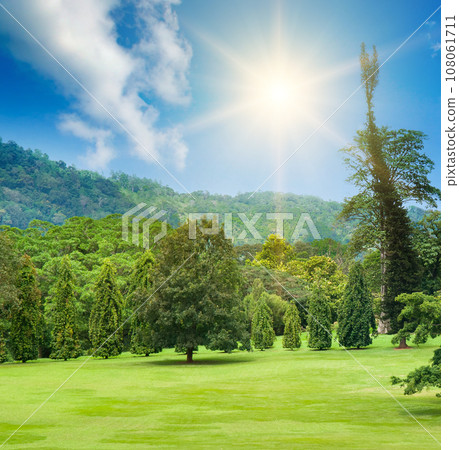 Botanical garden with rare exotic trees. Sri Lanka. Botanical garden with rare exotic trees. Sri Lanka. 108061711