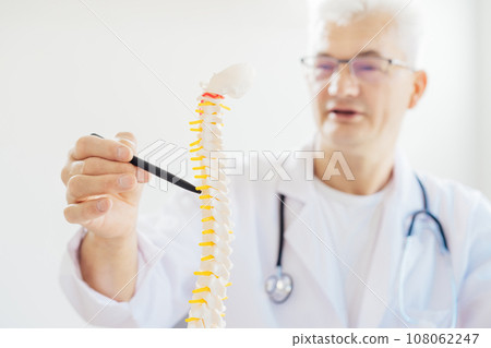 Closeup medical male doctor pointing on human spine model with a pen sitting in his office. Spinal healthcare and back pain treatment concept. Selective focus, copy space Closeup medical male doctor pointing on human spine model with a pen sitting in his office. Spinal healthcare and back pain treatment concept. Selective focus, copy space 108062247