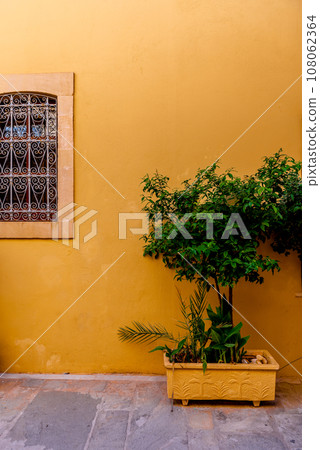 Yellow painted house and green plant in yellow pot in front of yellow house wall in Greece. 108062364