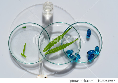 cannabis treatment concept cannabis treatment concept 108063667