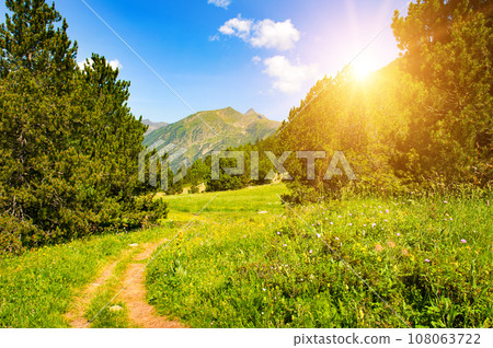 Pyrenees mountains in Andorra, forest, meadow and bright sun. Pyrenees mountains in Andorra, forest, meadow and bright sun. 108063722