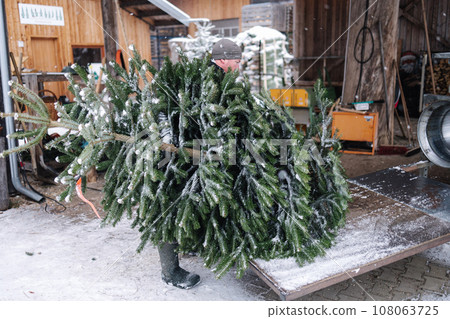 Man put Christmas tree on table for packing 108063725