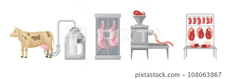Meat and Dairy Product Manufacture Process Vector Set 108063867