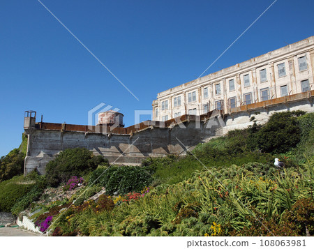 Western Gull hangs in Prisoners Garden with water tower in the distance 108063981