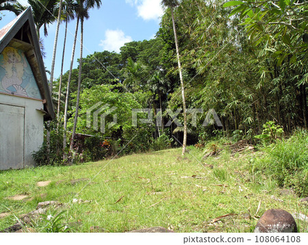 Path in small village in Palau 108064108