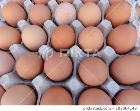 Brown eggs in large egg crate Brown eggs in large egg crate 108064149