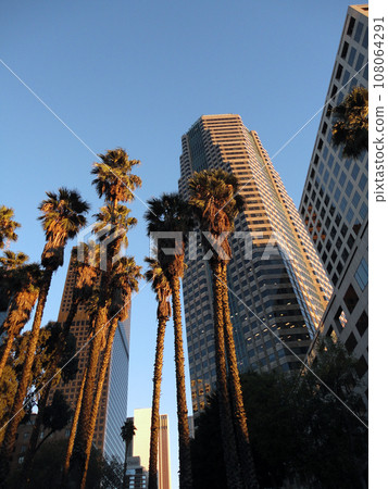 Looking up at Downtown LA Buildings and Palm trees at dusk 108064291