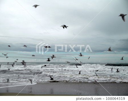 Flock of western gulls fly by crashing waves 108064319