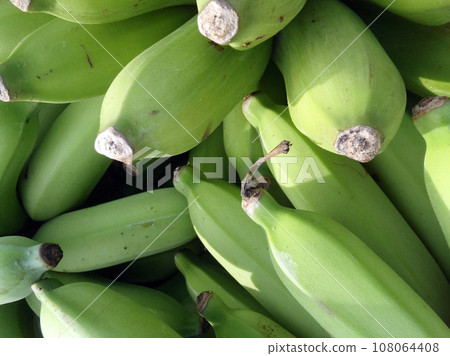 Green Bananas for Sale 108064408