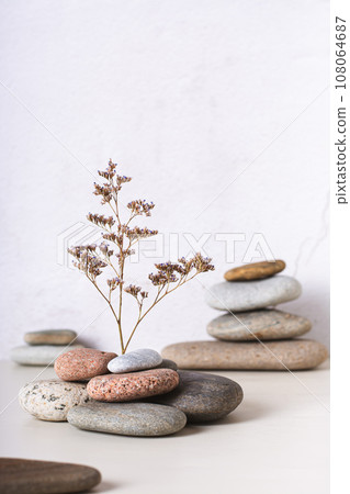 Survival concept dried flower growing from stones vertical view 108064687