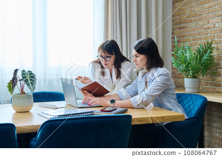 Two serious business women working in office, typing on laptop Two serious business women working in office, typing on laptop 108064767