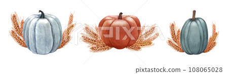 Watercolor set realistic whole pumpkin and ears of wheat. Hand-drawn illustration isolated on white background. Perfect for menu cafe, template natural food, cooking, packing food, card thanksgiving. Watercolor set realistic whole pumpkin and ears of wheat. Hand-drawn illustration isolated on white background. Perfect for menu cafe, template natural food, cooking, packing food, card thanksgiving. 108065028
