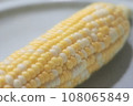 玉米 108065849
