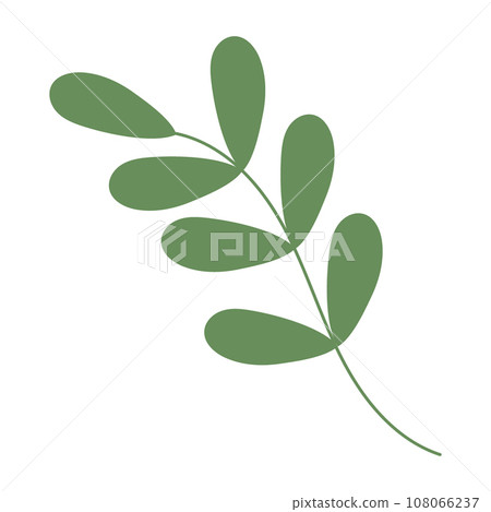 Abstract image of spring twig with small leaves in trendy green hue. Isolate. Vector Design element Abstract image of spring twig with small leaves in trendy green hue. Isolate. Vector Design element 108066237