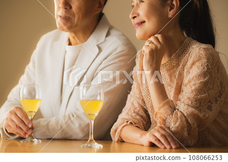 Senior couple drinking alcohol 108066253