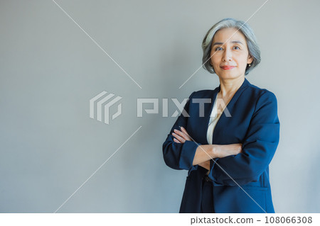 business woman with gray hair 108066308