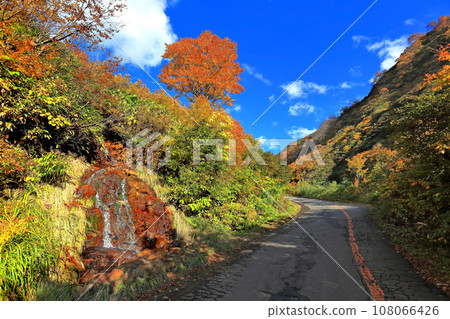 Dewa Sanzan Okunoin, Mt. Yudono, the approach to Mt. Yudono Shrine Dewa Sanzan Okunoin, Mt. Yudono, the approach to Mt. Yudono Shrine 108066426