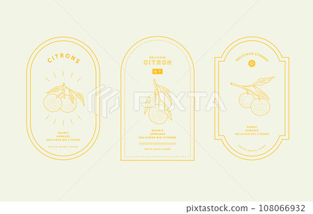 Yuzu illustration/logo design 108066932
