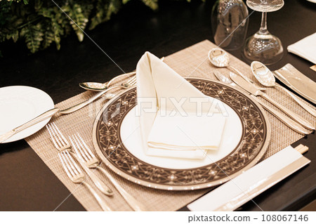 高檔的大氣表協調色樹西式餐具圖像圖像 高檔的大氣表協調色樹西式餐具圖像圖像 108067146