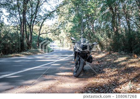 摩托車旅行 穿過森林的道路,秋天的陽光透過樹林 A-3 冷色 摩托車旅行 穿過森林的道路,秋天的陽光透過樹林 A-3 冷色 108067268