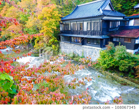 秋季寶川溫泉旅館 秋季寶川溫泉旅館 108067345