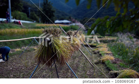 Fall landscape Fall landscape 108069167