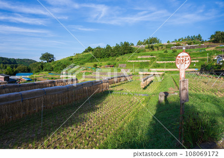 有梯田的梯田景觀，原始景觀 108069172