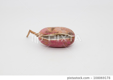Akebi arranged on a white background. Akebi with their mouths open and the flesh inside visible. Akebi arranged on a white background. Akebi with their mouths open and the flesh inside visible. 108069178