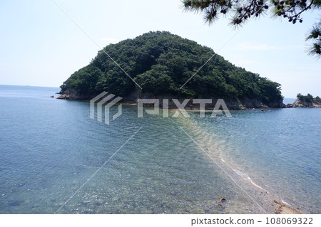 Path of hope (Shodoshima) Path of hope (Shodoshima) 108069322