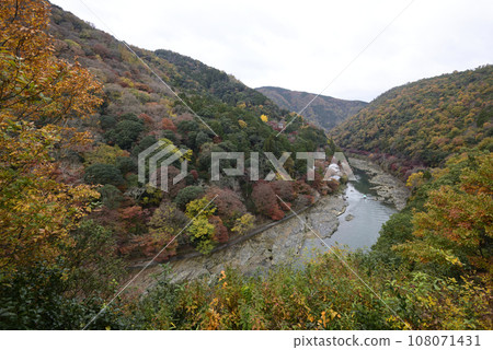 Arashiyama Hozugyo Valley 108071431
