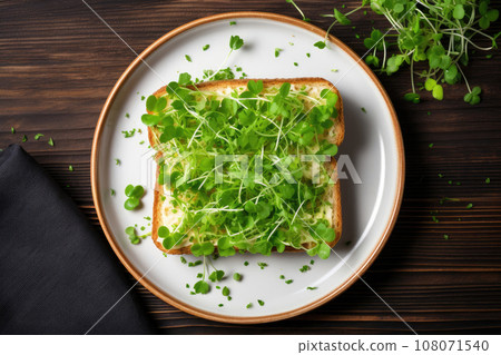 Toast with Microgreens, Generative AI Toast with Microgreens, Generative AI 108071540
