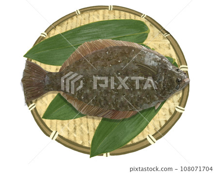 比目魚（附漏杓竹葉） 108071704