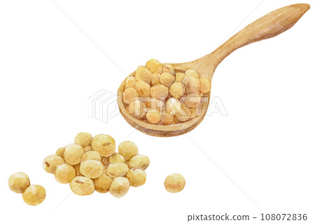 Watercolor illustration of soybeans in a spoon and a pile of soybeans 108072836