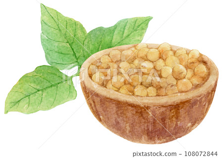 碗裡一堆大豆和大豆葉的水彩插圖 108072844