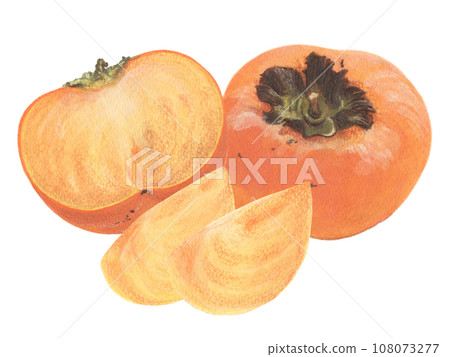 Persimmon acrylic painting illustration: persimmon fruit, cut persimmon, and peeled persimmon 108073277