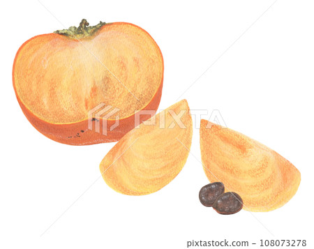 Persimmon acrylic painting illustration: persimmon cut in half, peeled persimmon, and seeds 108073278