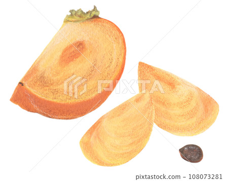 Persimmon acrylic painting illustration: cut persimmons, peeled and cut persimmons, and seeds 108073281