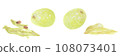 Acrylic painting illustration of half-eaten Muscat (grape): peeled fruit, skin, and seeds 108073401