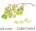 Acrylic painting illustration of a half-eaten Muscat (grape) Acrylic painting illustration of a half-eaten Muscat (grape) 108073403
