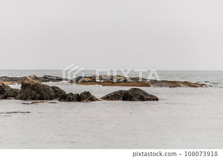 Exploring seals wildlife at the beach in the morning mist at Kejimkujik National Park Seaside, Nova Scotia, Canada 108073918